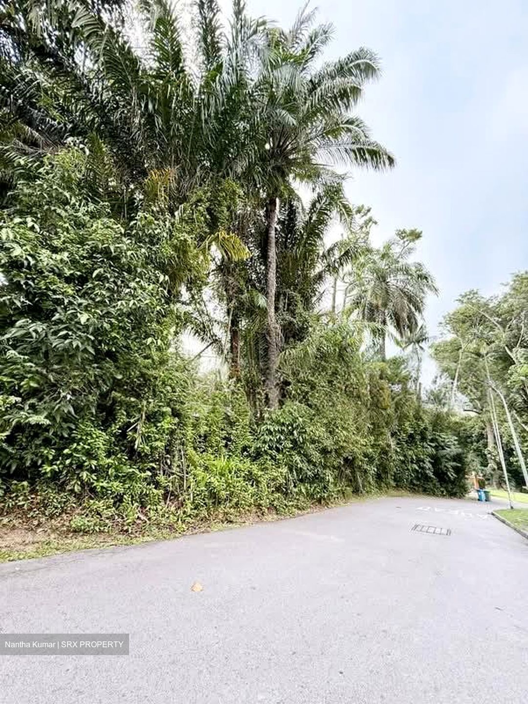 Cluny Park (D10), Detached #563355841